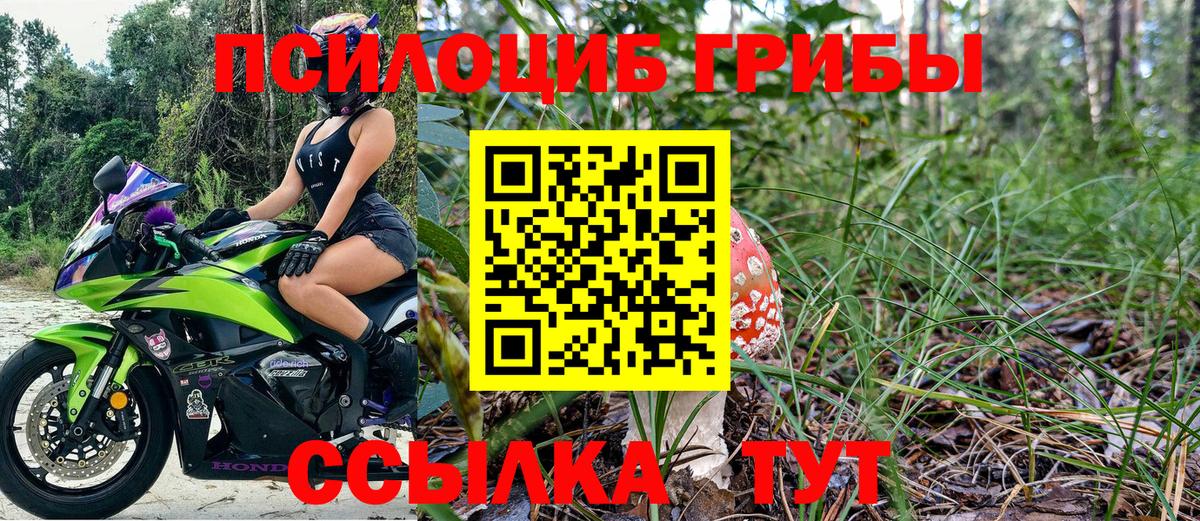 Псилоцибиновые грибы мицелий Алатырь