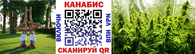 Бошки Шишки White Widow  Алатырь 